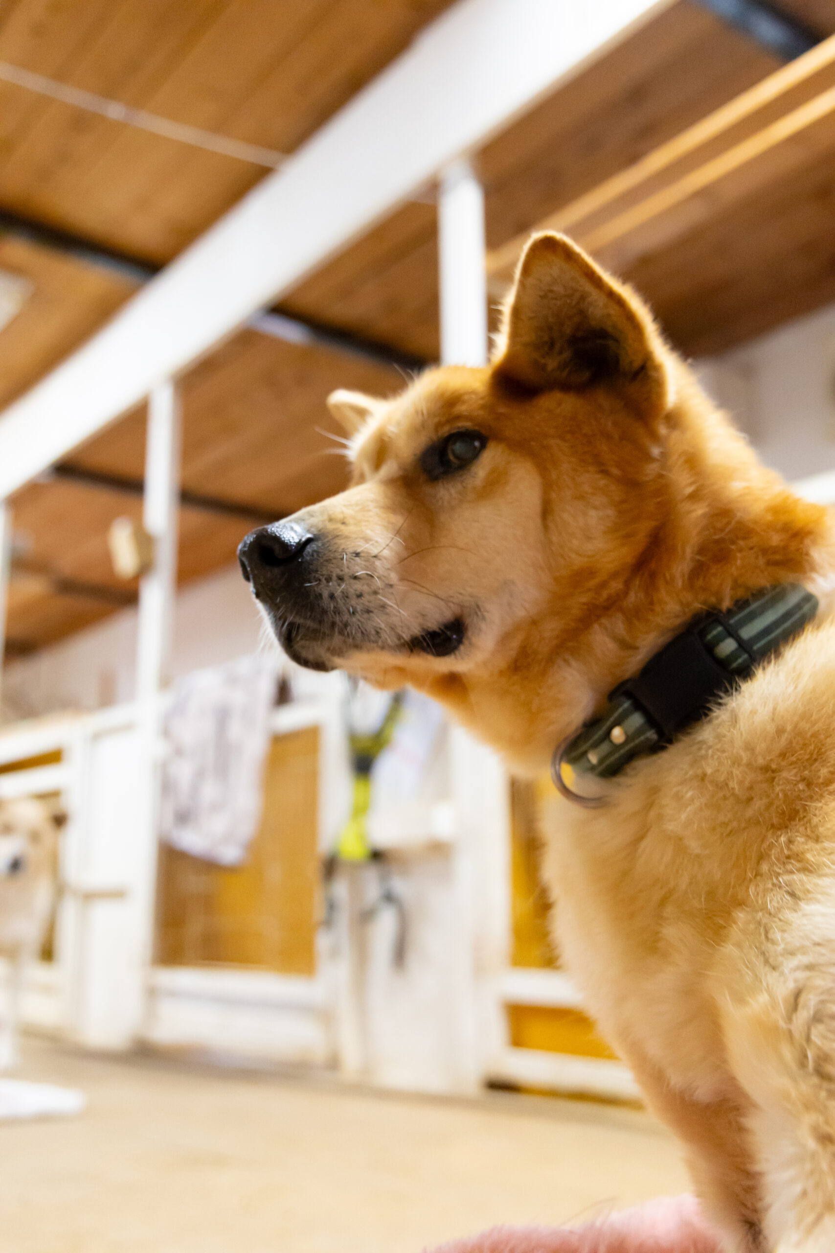 ＜Link to 様＞ 活動の様子の動画を撮影しました